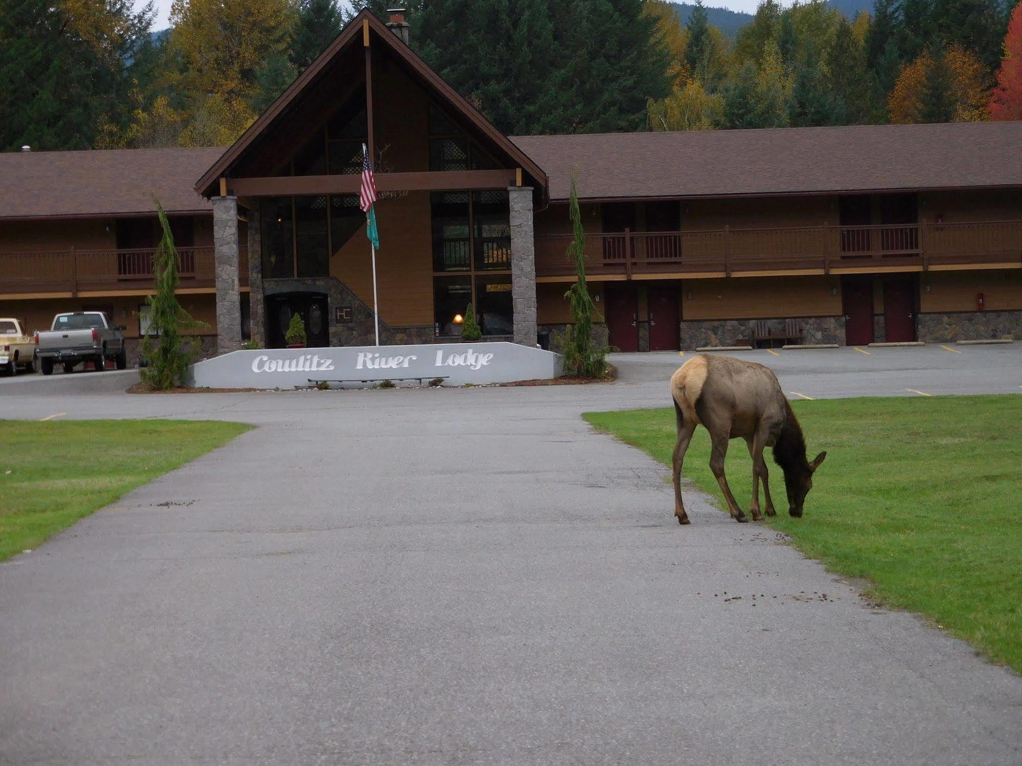 Cowlitz River Lodge Packwood Eksteriør bilde