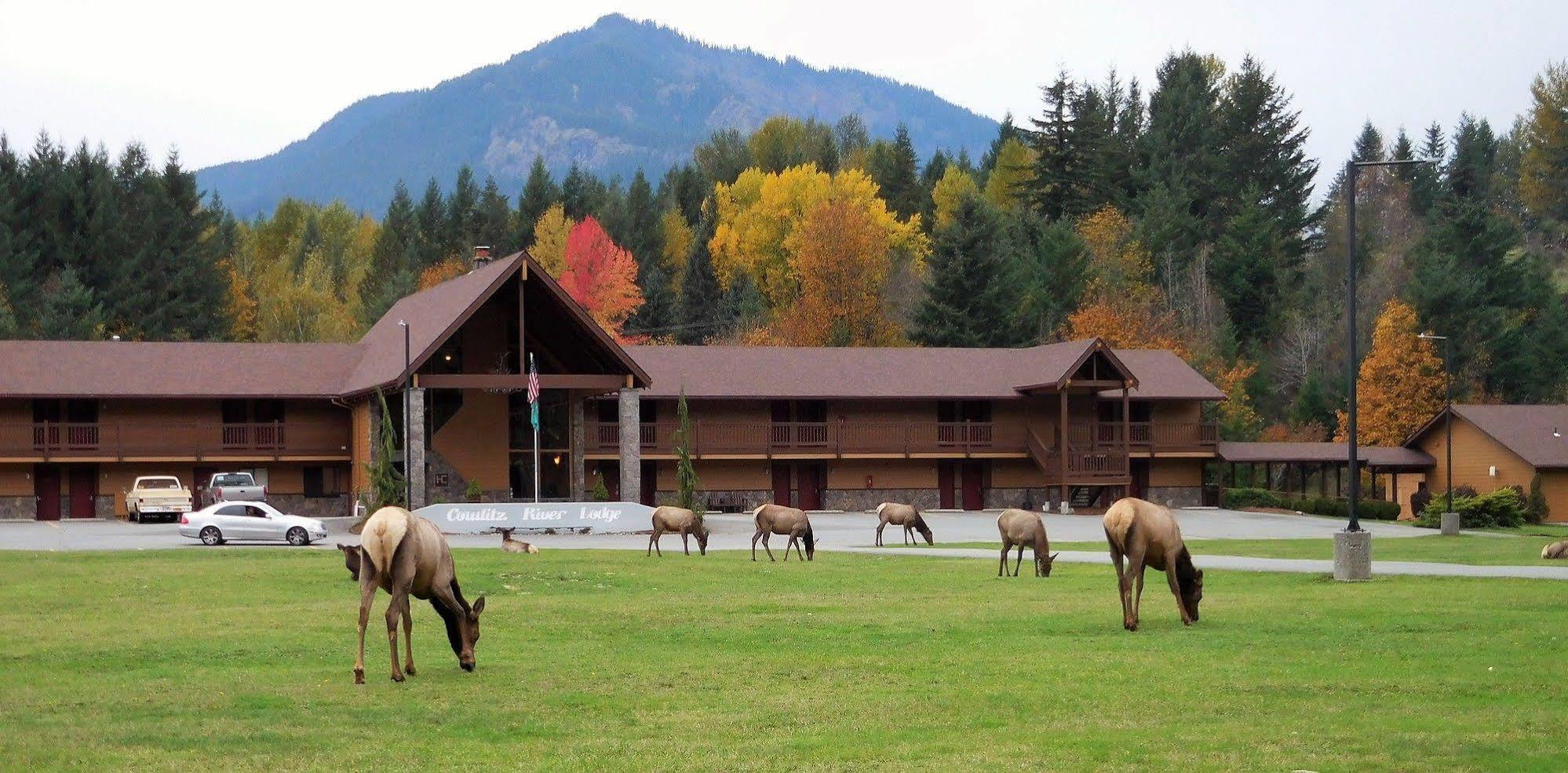 Cowlitz River Lodge Packwood Eksteriør bilde